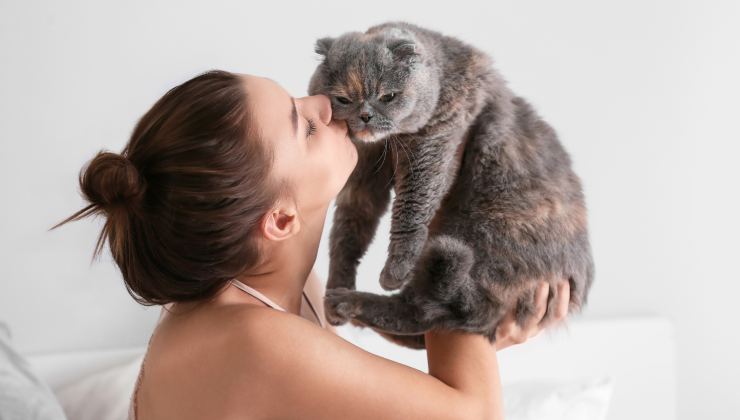 donna tiene in braccio un gatto grigio