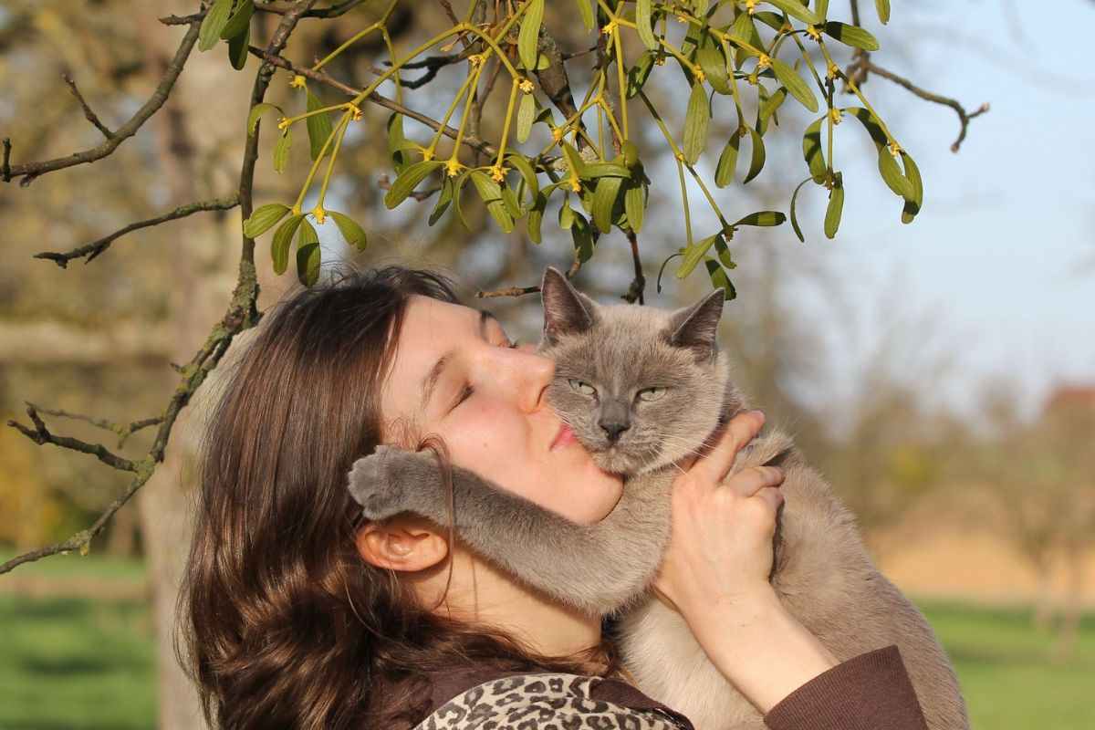 gatto tra le braccia della proprietaria