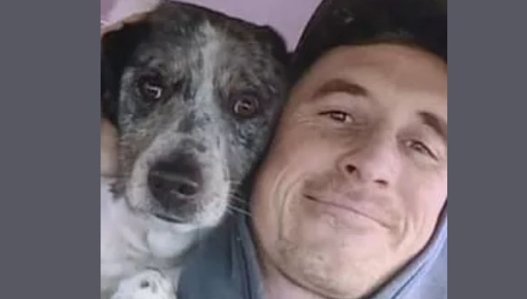 il cane insieme al suo umano