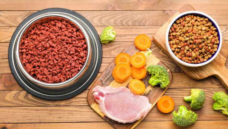 pet food