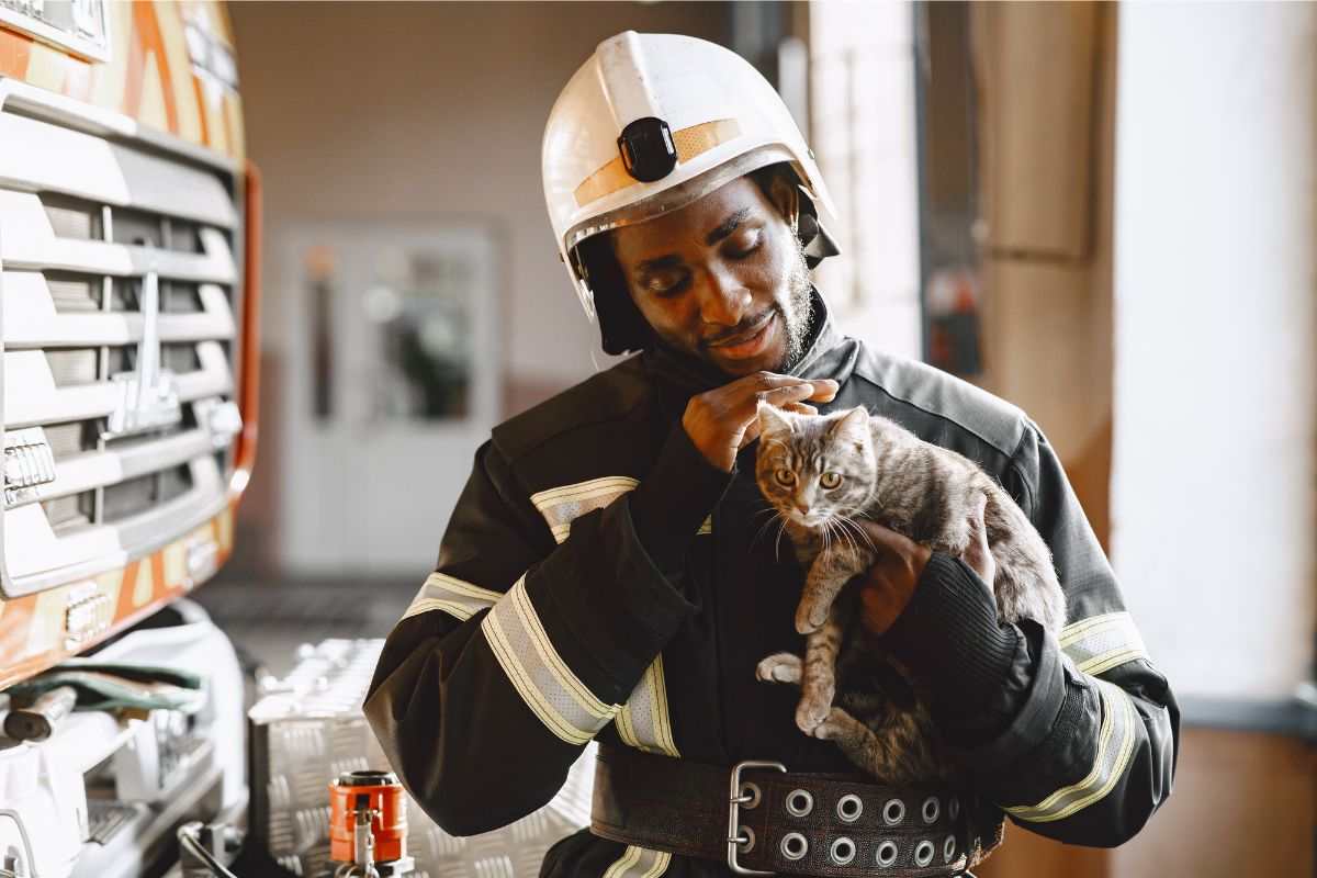 vigile del fuoco con il gattino