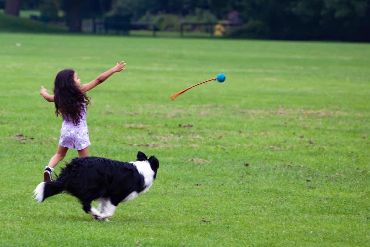 Bambina lancia un gioco al cane nel prato