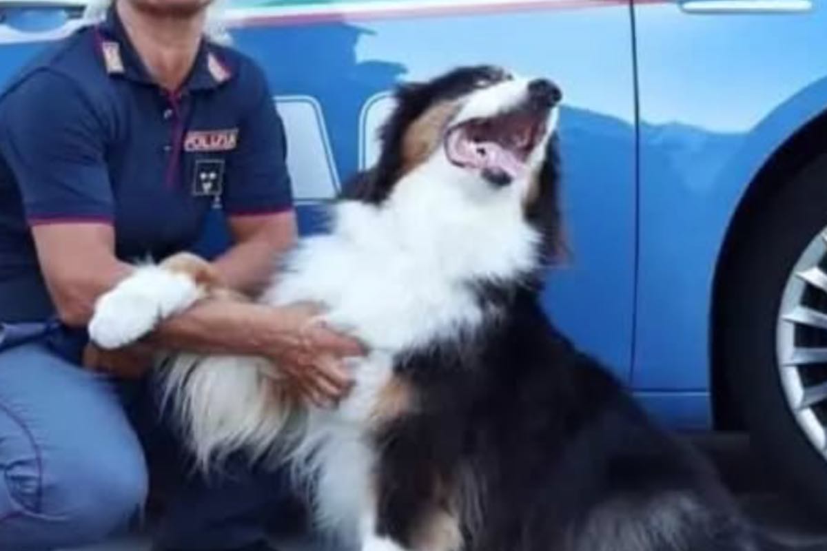 Poliziotta accanto al suo cane e alla sua volante