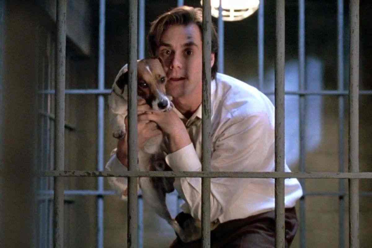 Attore e cane