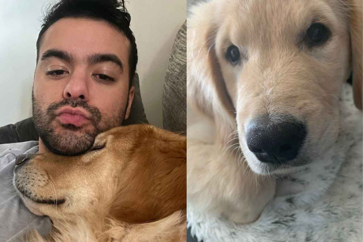 Cane Archie e il padrone che lo cercava