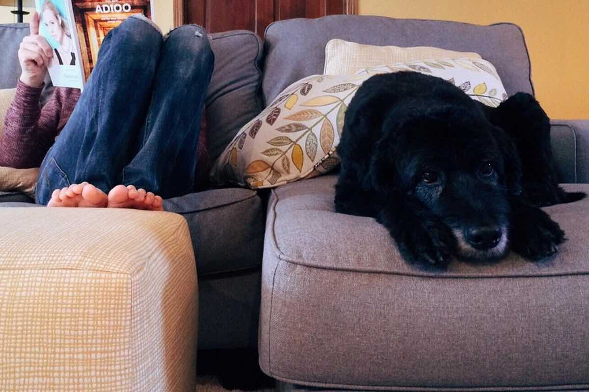 Donna legge una rivista sul divano accanto a un cane