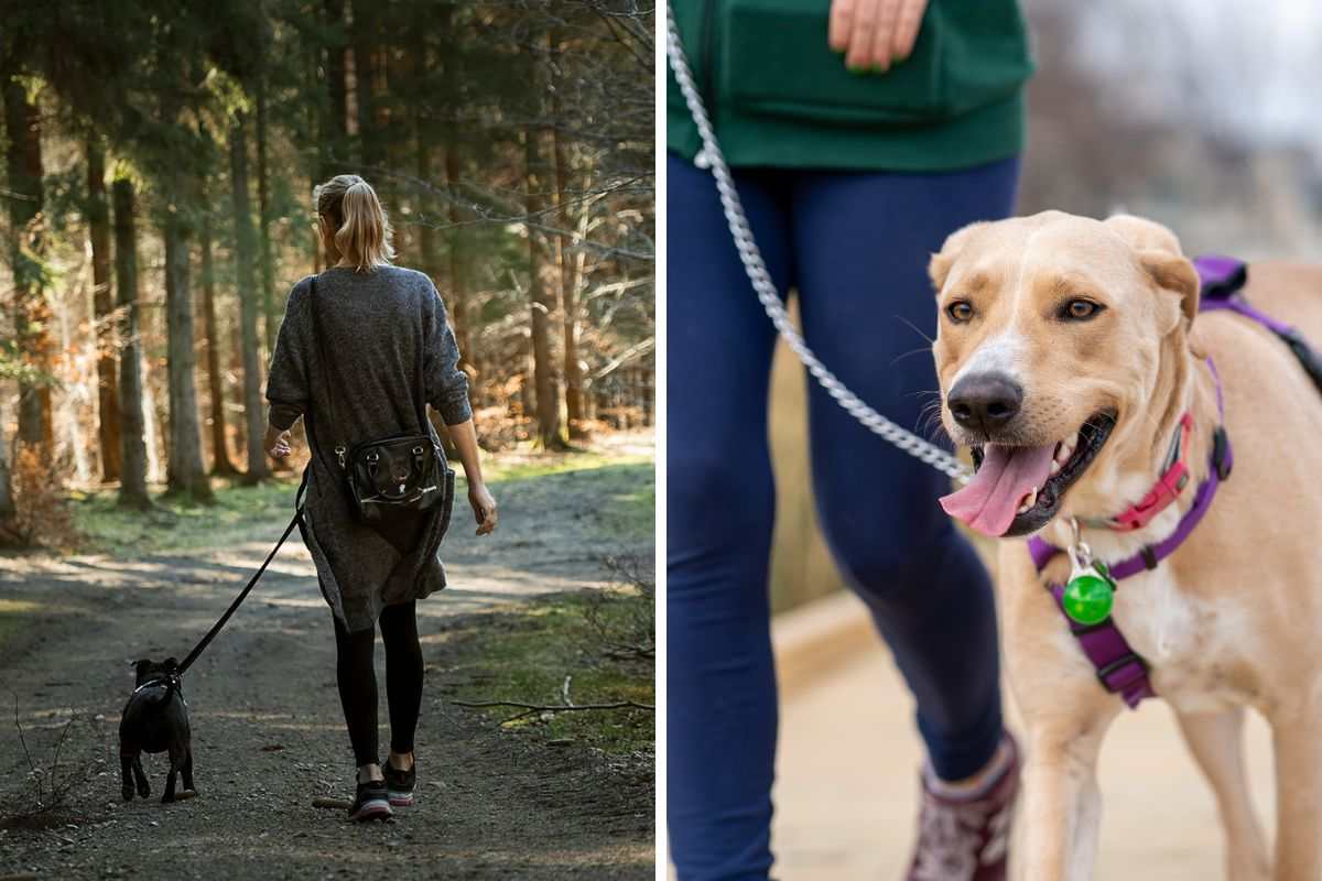 passeggiata con il cane