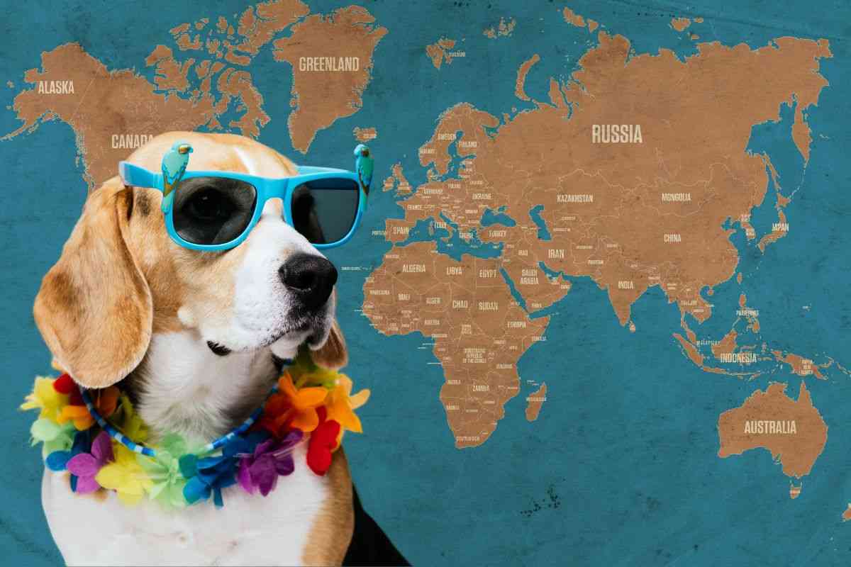 mappa del mondo e cane