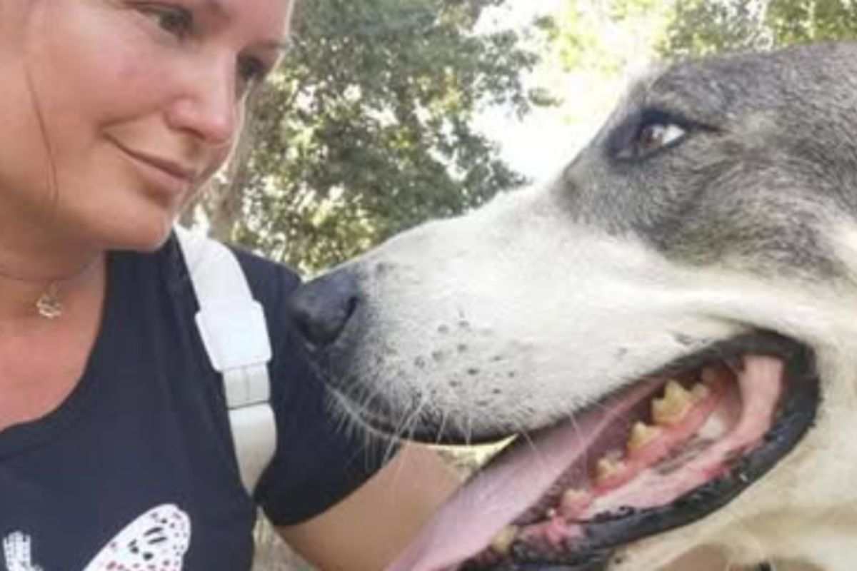 Cane Asia e padrona