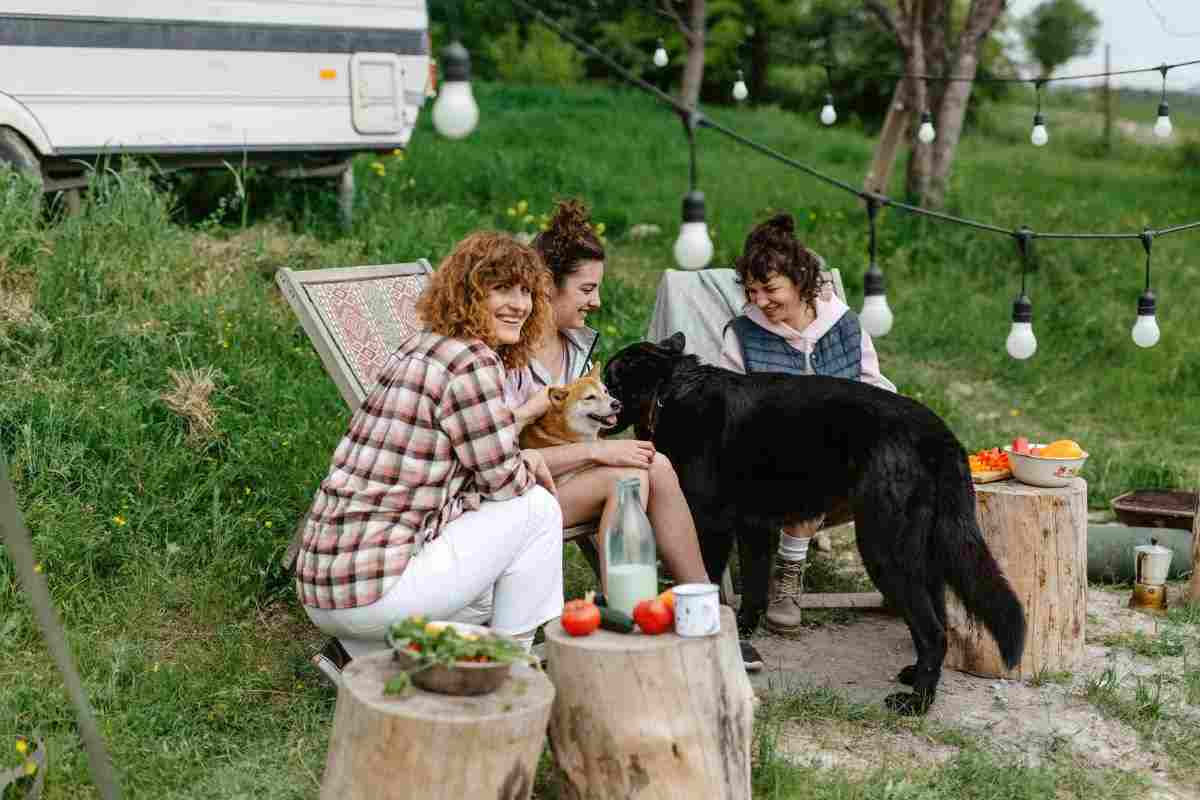 Cane in montagna