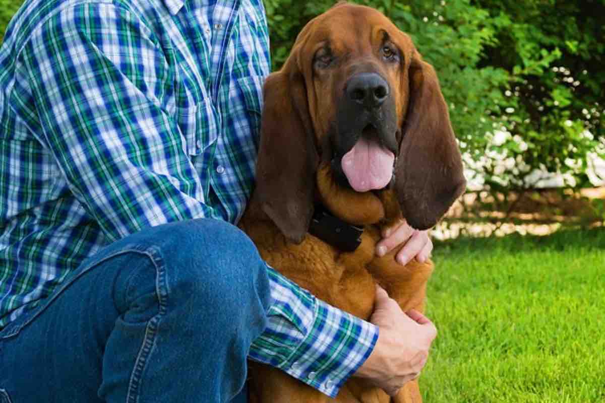 Uomo abbraccia un cane di Sant’Uberto