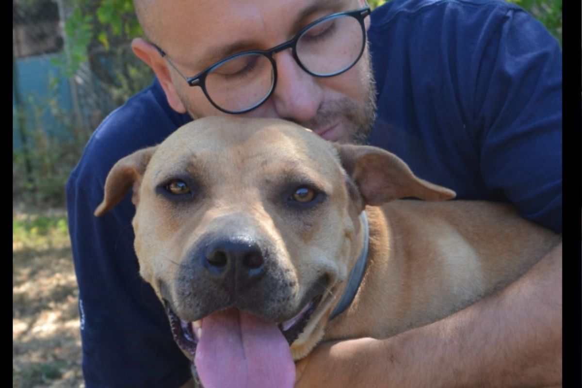 Membro della fondazione e cane salvato