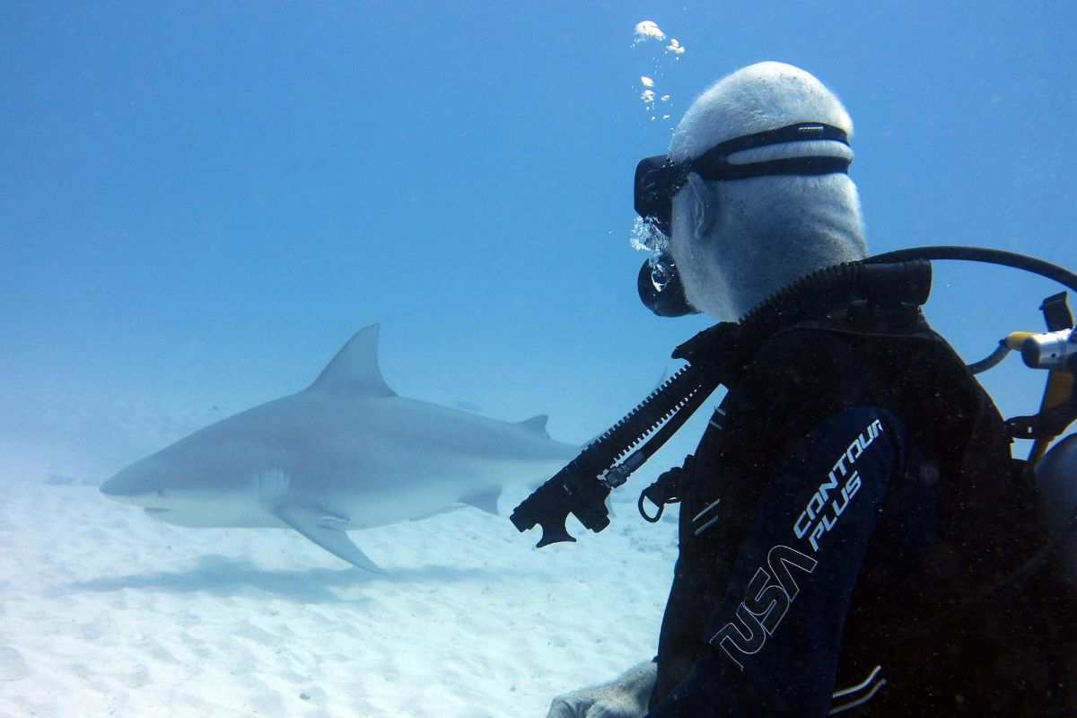 Uomo in mare avvista squalo