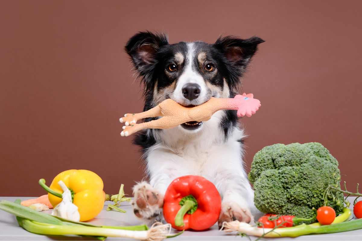 cane alimenti