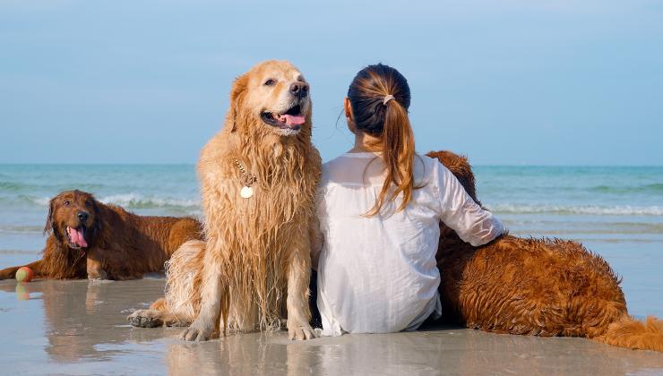 donna al mare con tre cani