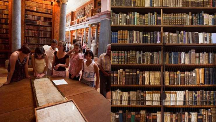 salvare i libri antichi dall'insetto