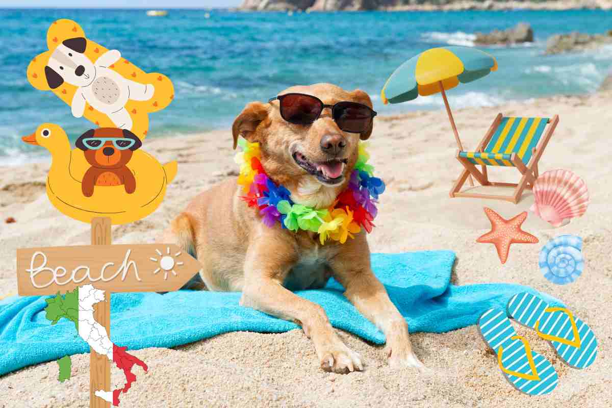 spiagge per cani