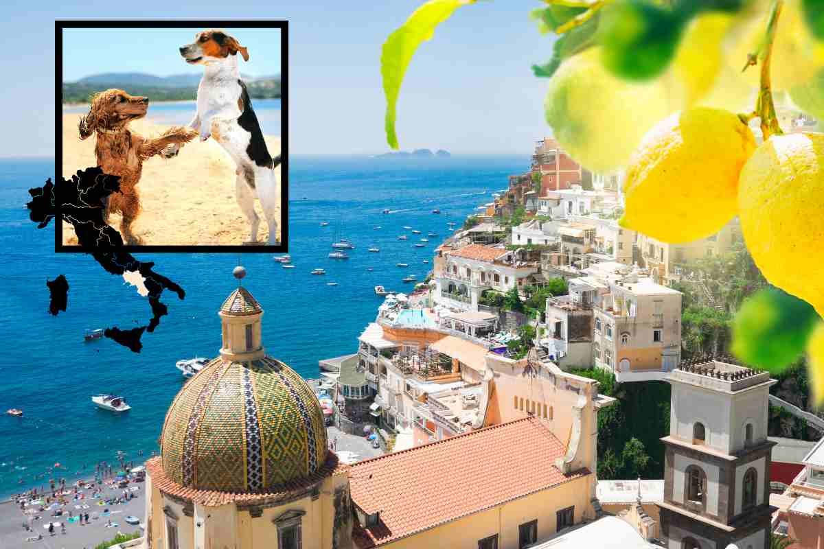 Spiagge in Campania