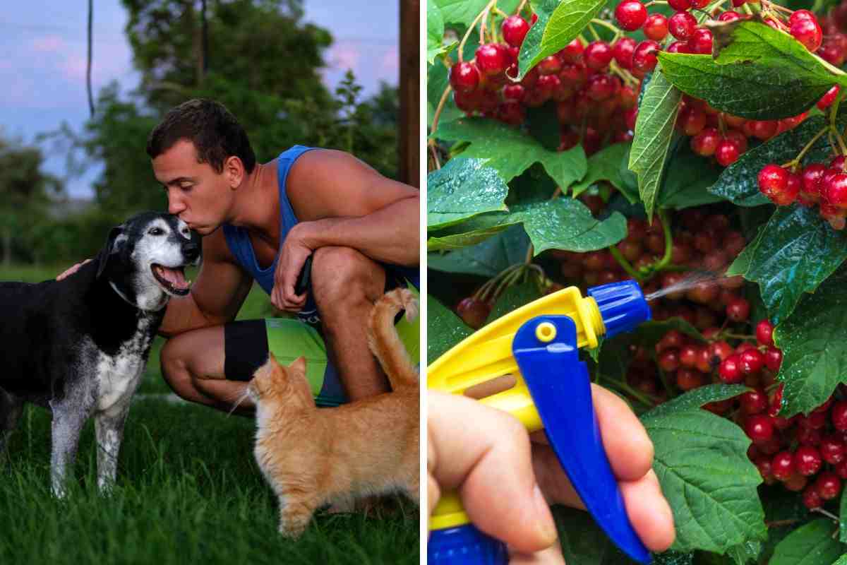 prodotti da giardino e animali