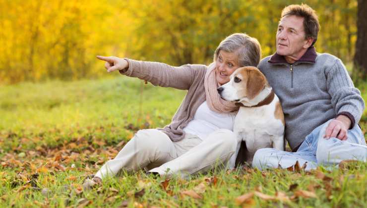 cani per persone anziane