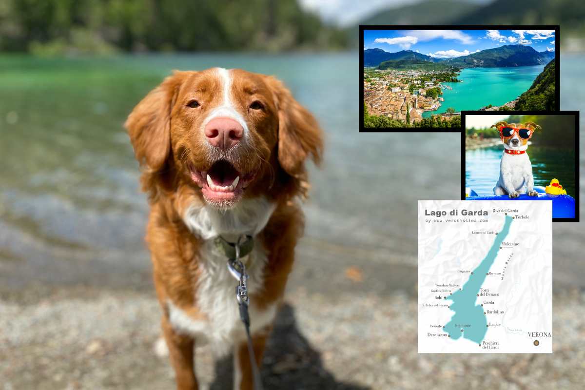 spiagge per cani al lago di garda