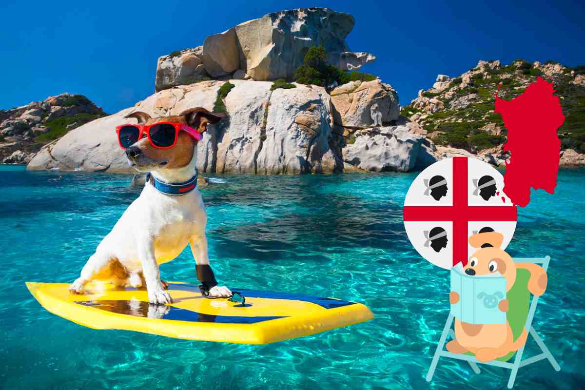spiagge per cani in sardegna