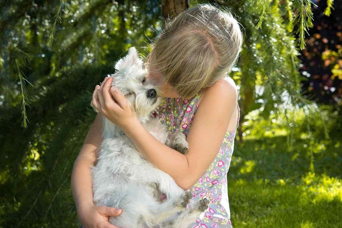 Bimba bacia un cane bianco in un prato