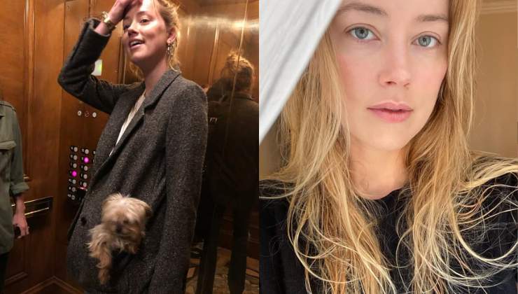 Amber Heard con il cagnolino