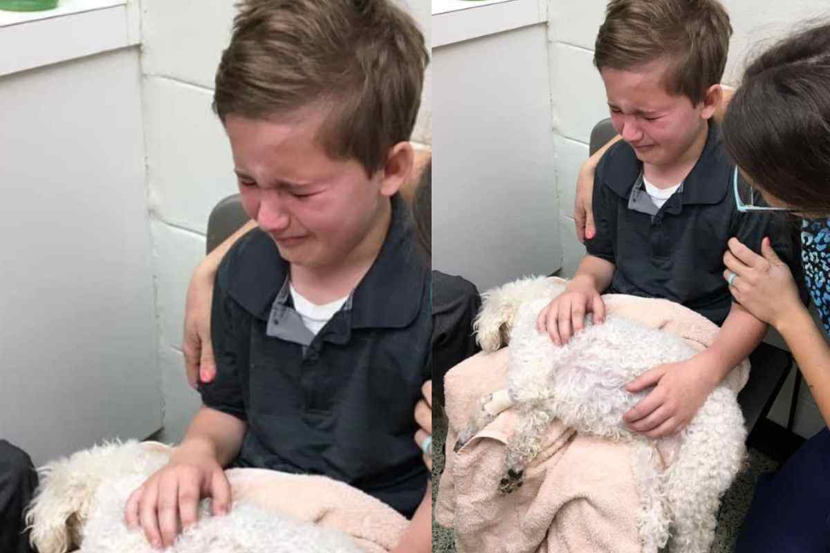Bambino saluta per sempre la cagnolina morente