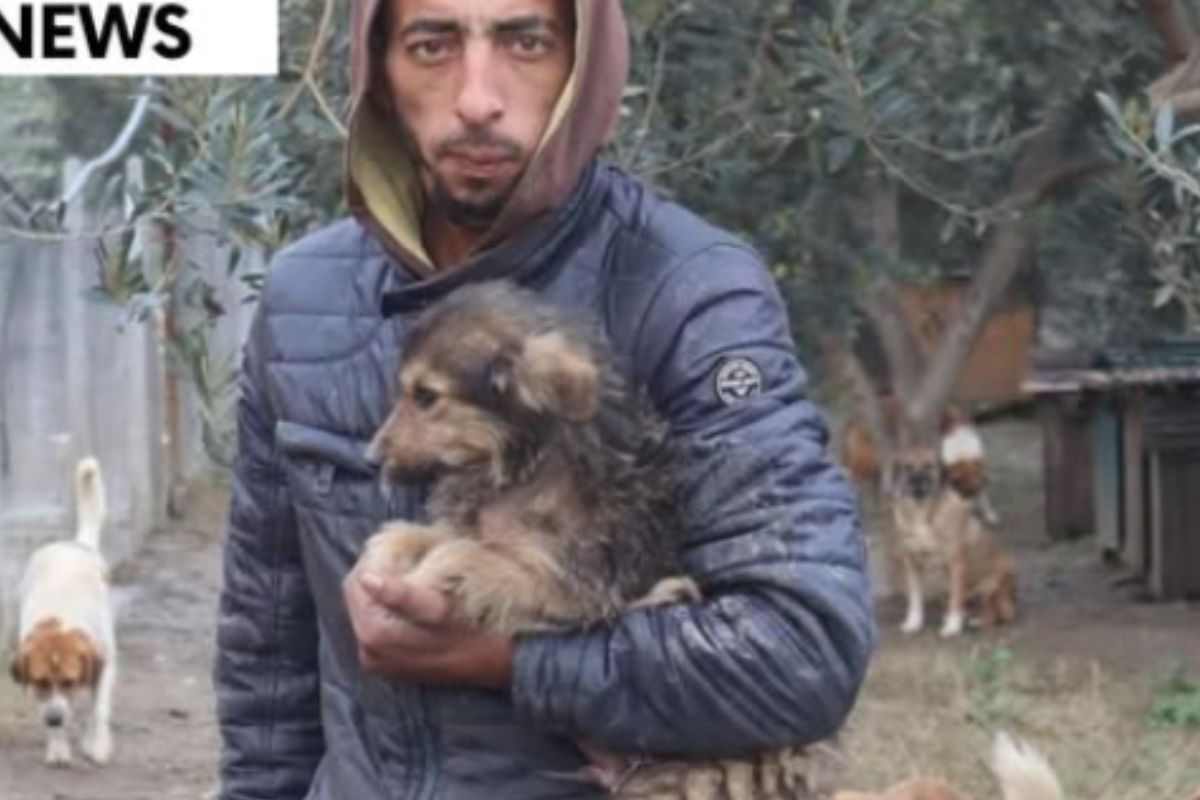 Fredi e i suoi cani