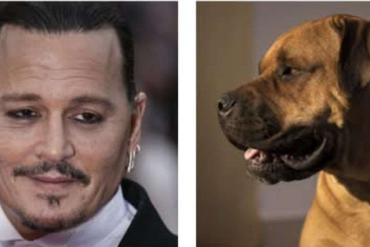 Cane di Johnny Deoo
