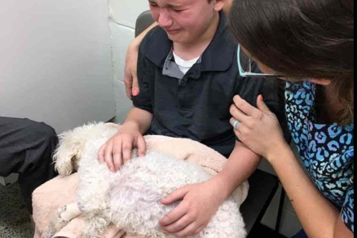 Bambino saluta la sua cagnolina