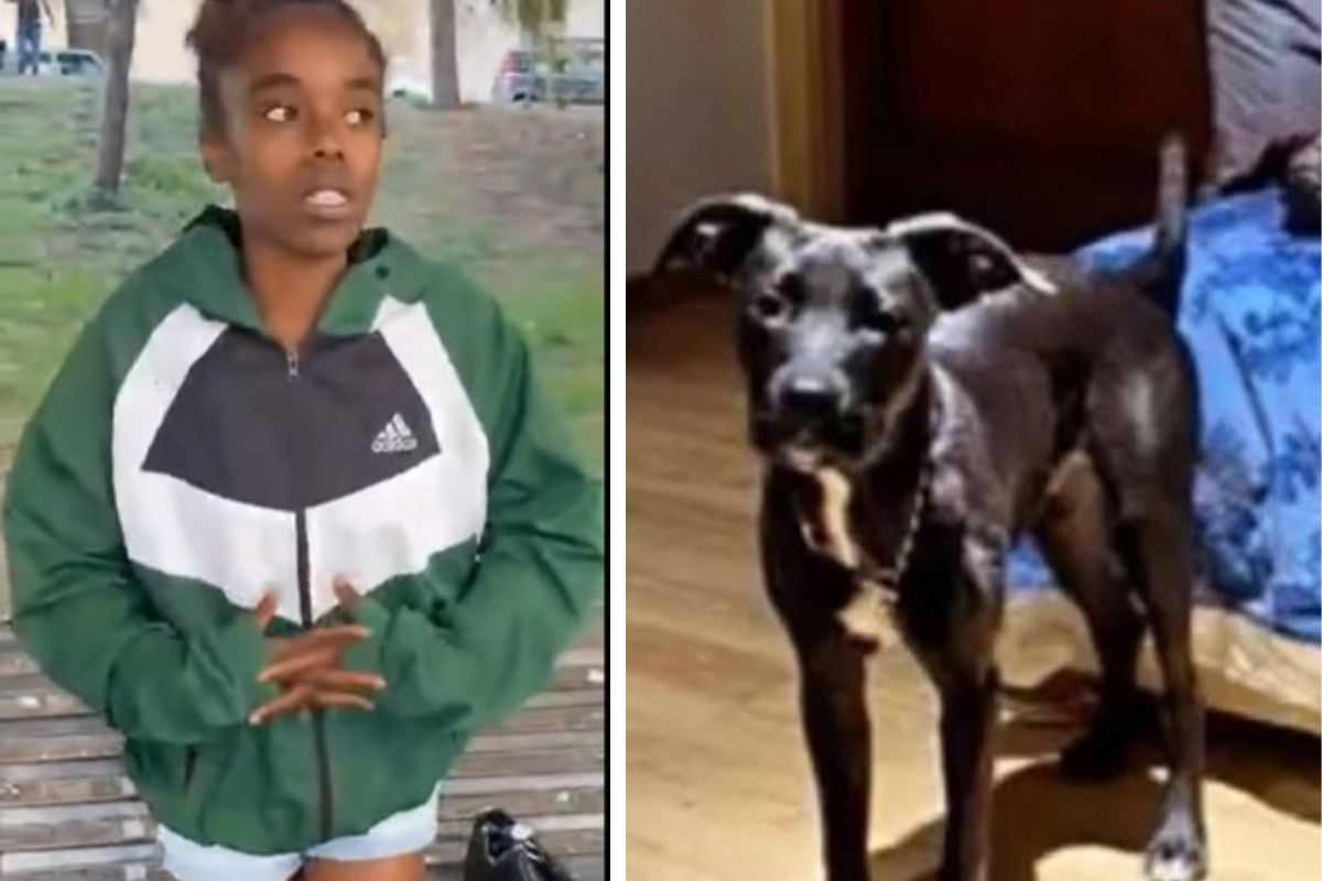 Narcos il cane ucciso e la sua padrona
