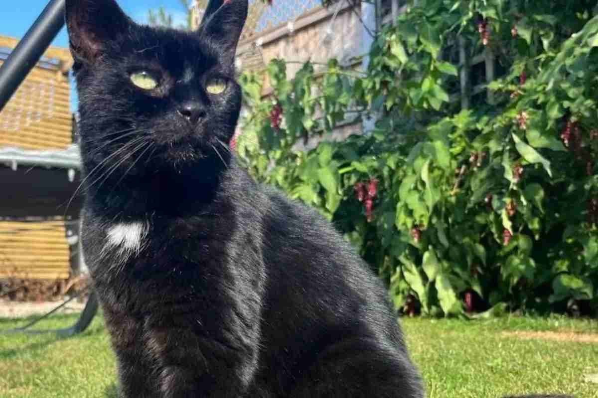 tilly seduta sul prato