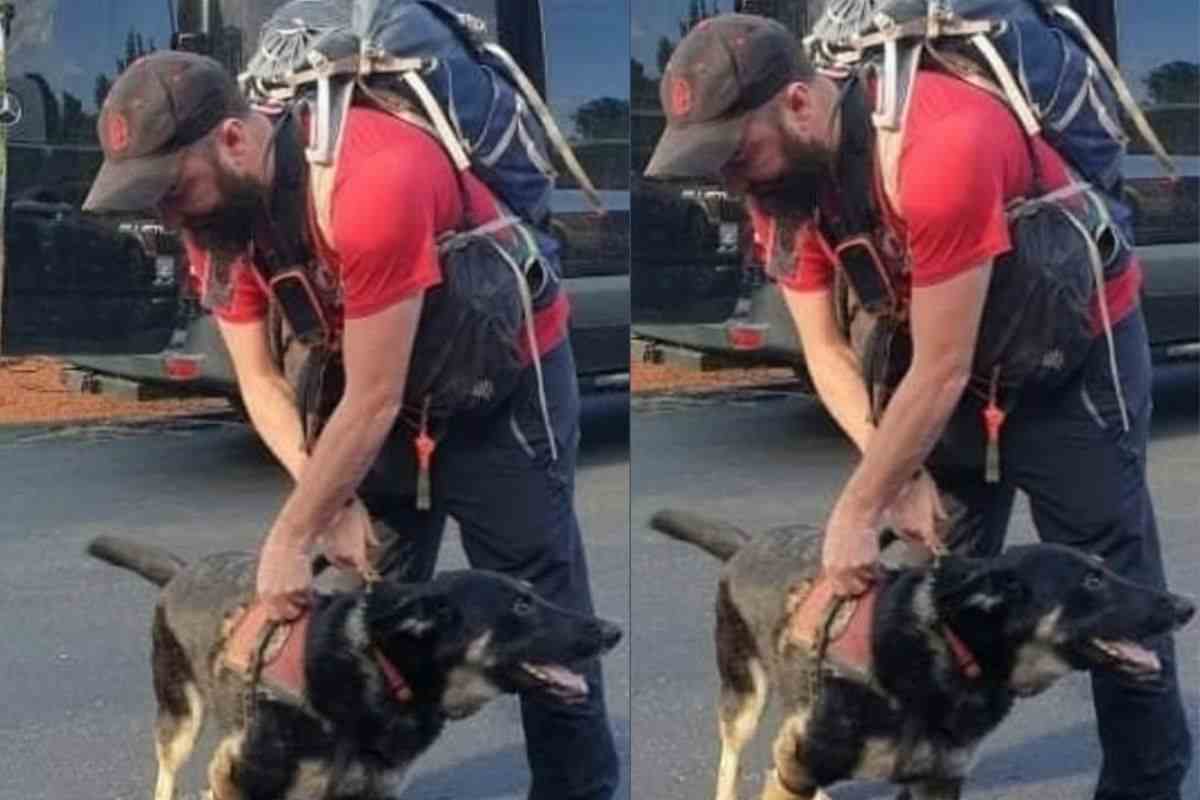Cane da soccorso e coordinatore