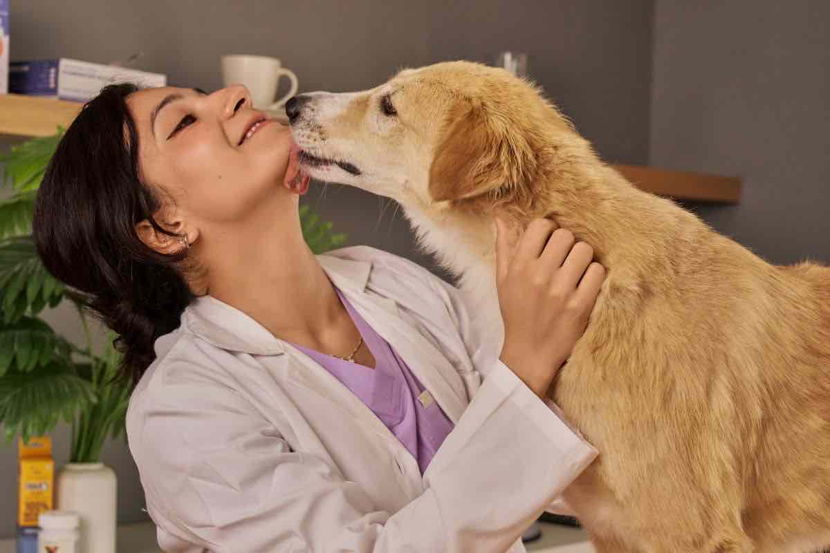 Cane durante la visita dal veterinario 