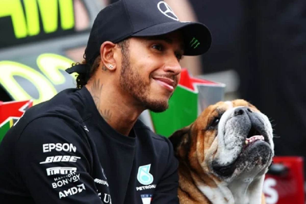 Hamilton e Roscoe