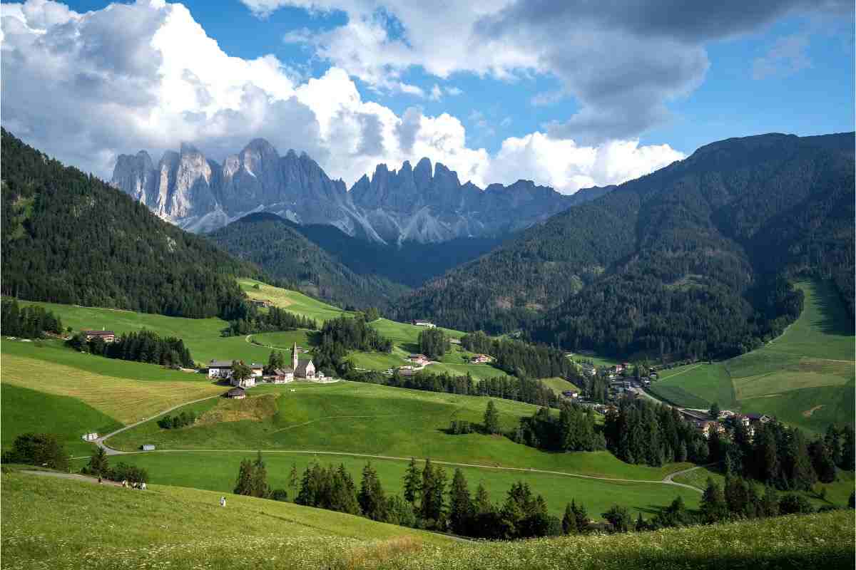 boschi in Alto Adige