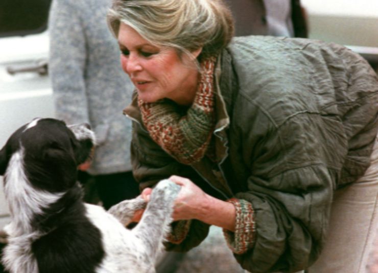 Brigitte Bardot con un cane