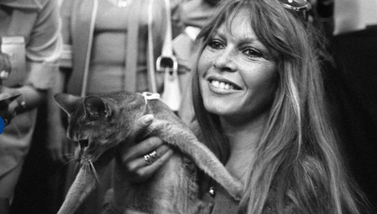 Brigitte Bardot con un gattino