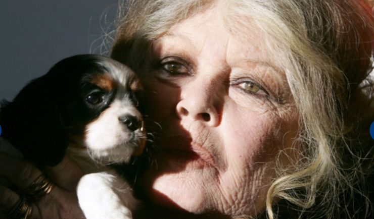 Brigitte Bardot