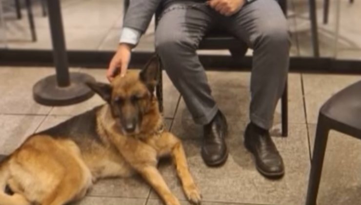 cane Bella con il sindaco