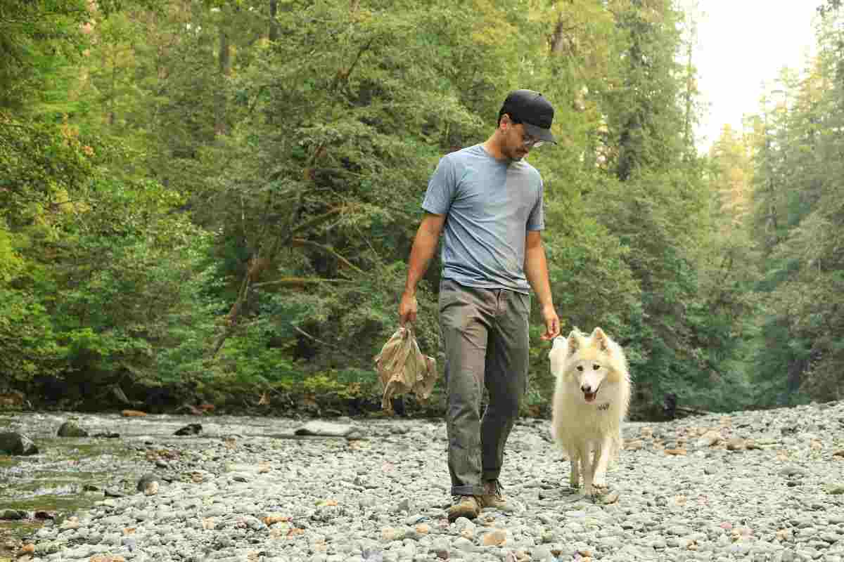 cane a passeggio con proprietario
