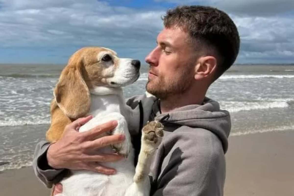 cane scomparso