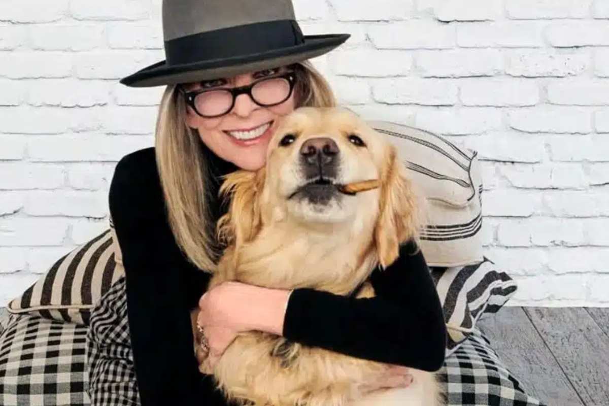 diane keaton e i suoi cani