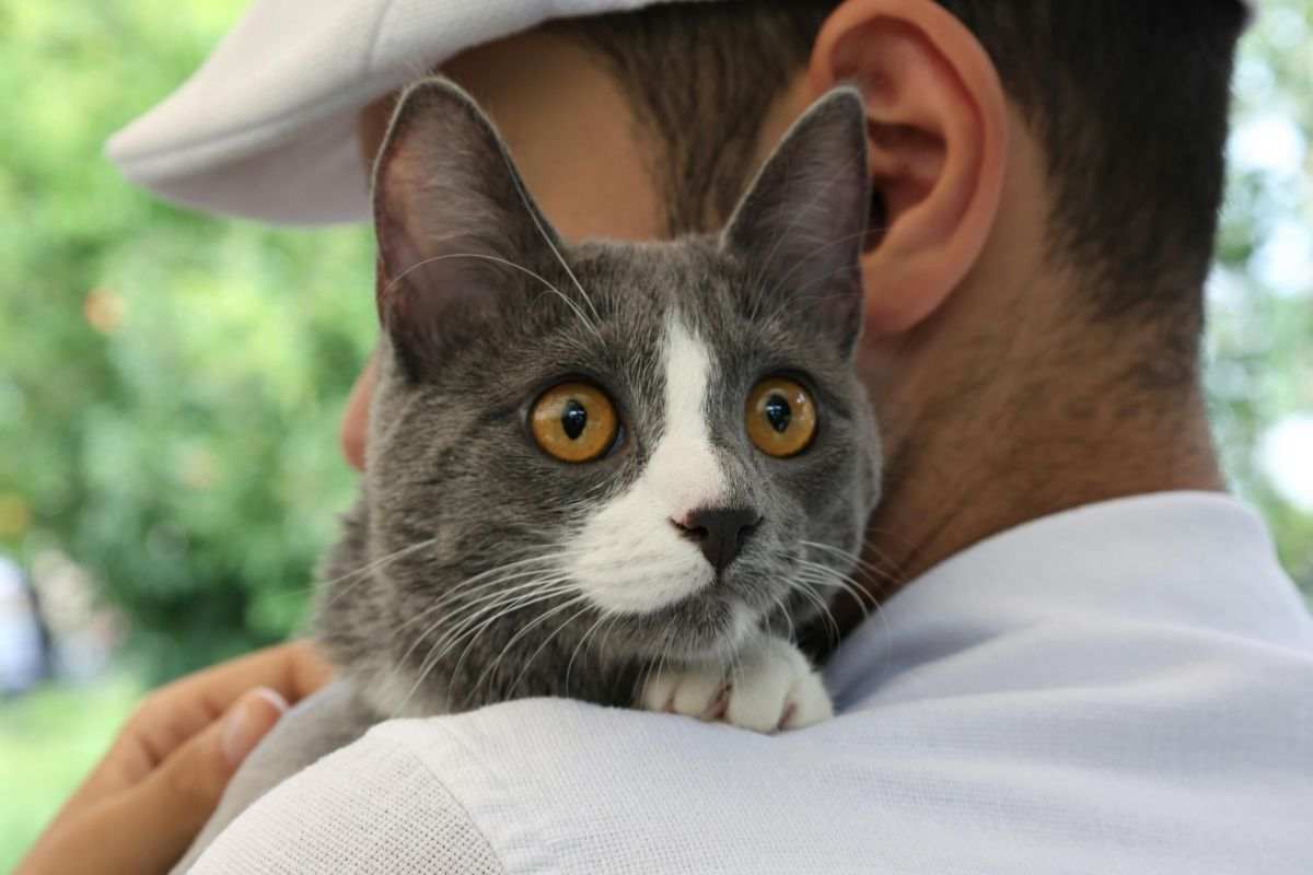 gatto e proprietario