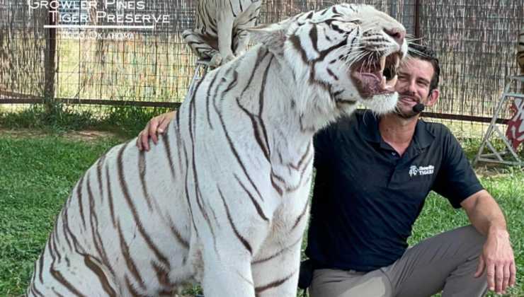tigre bianca con addestratore