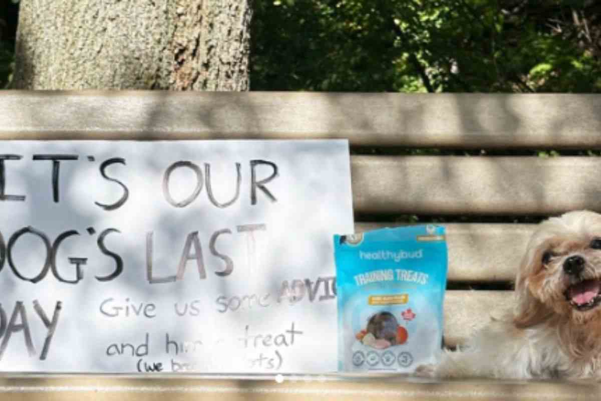 Cartello per l'ultimo giorno del cane