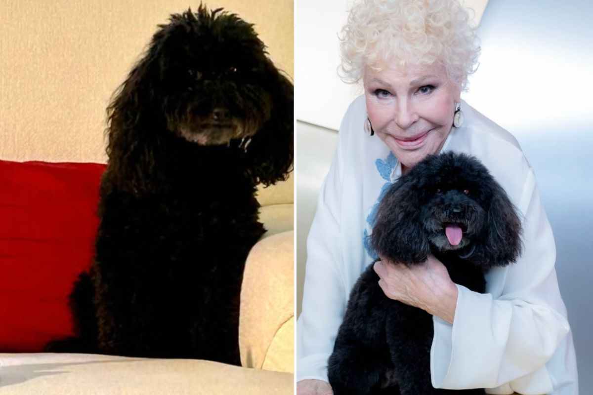 Ondina e Vanoni
