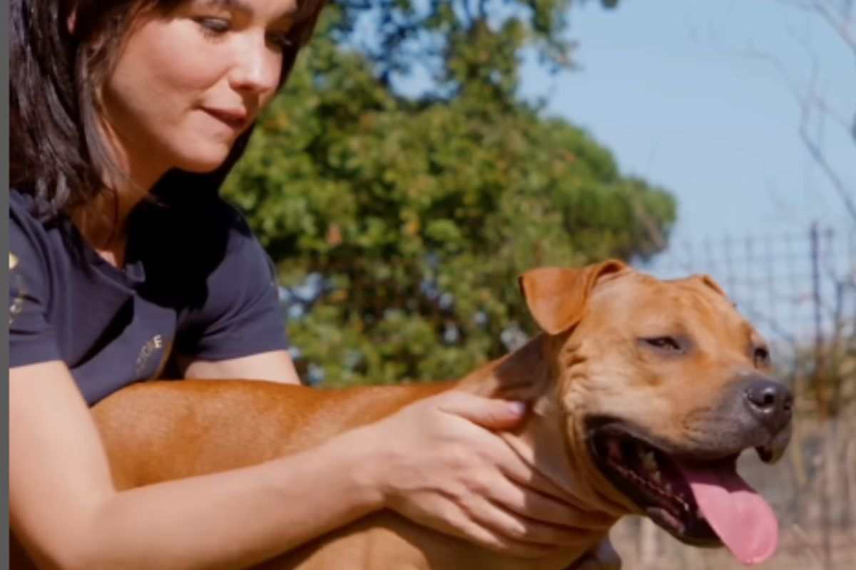 cane e attrice 